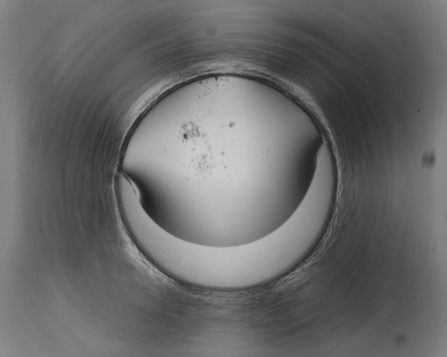 X0000114390946200911131339