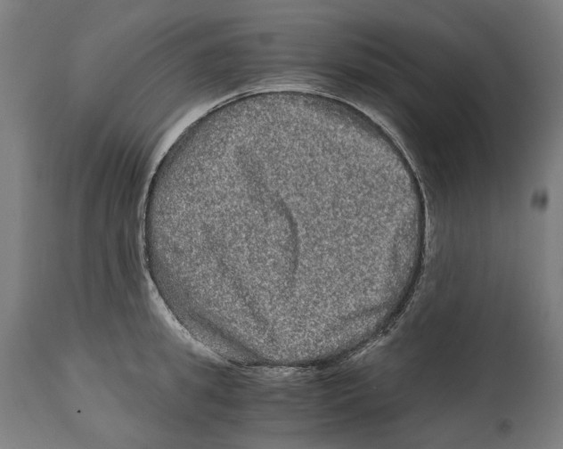 X0000114390949200911131340