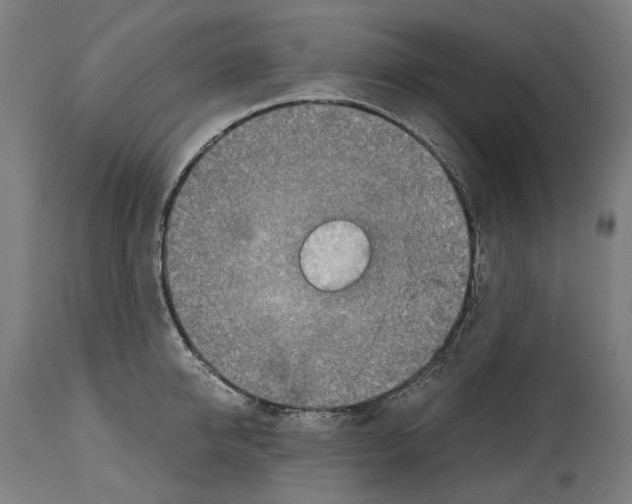 X0000114390950200911131340