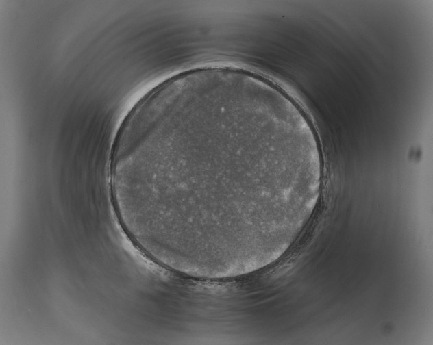 X0000114390951200911131340