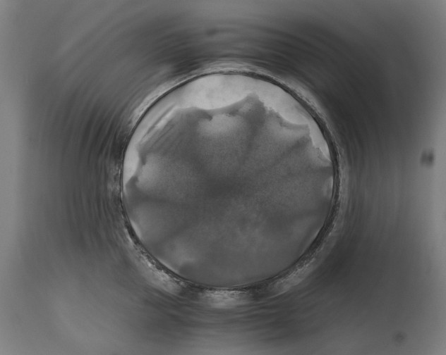 X0000114390953200911131340