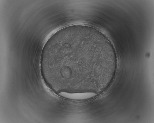 X0000114390954200911131340