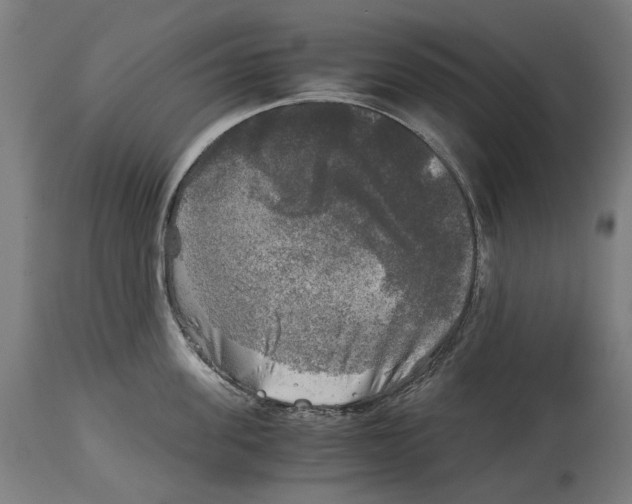 X0000114390955200911131340