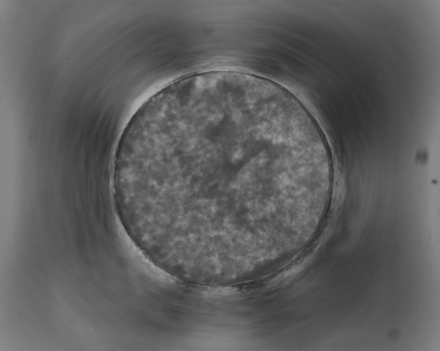 X0000114390957200911131340