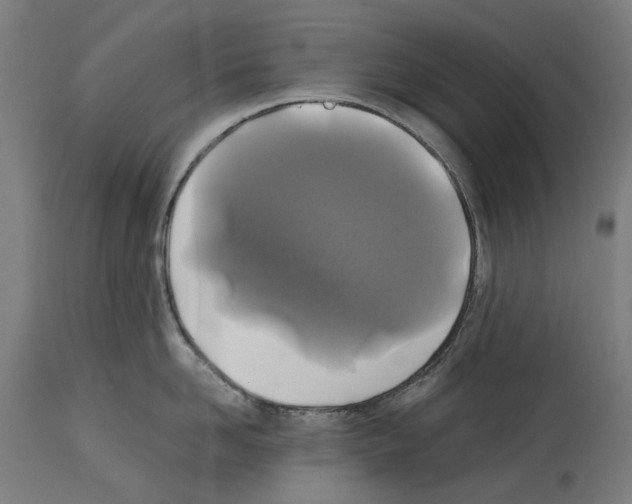 X0000114390958200911131340