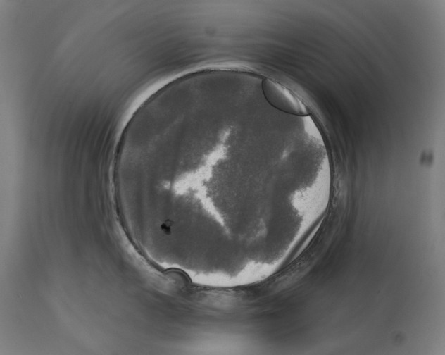 X0000114390959200911131340