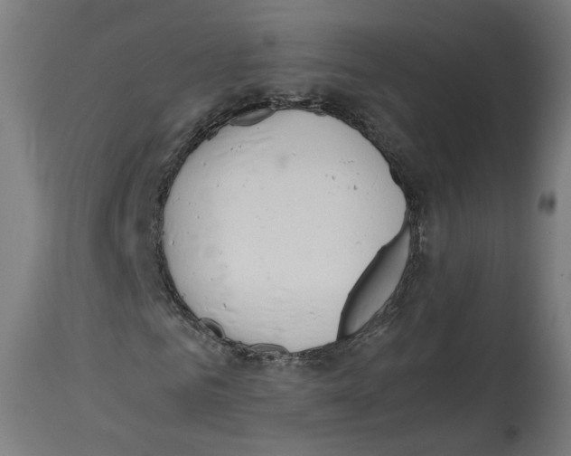 X0000114390961200911131339