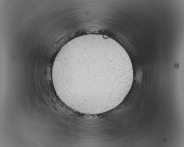 X0000114390964200911131339