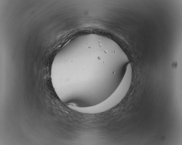 X0000114390965200911131339