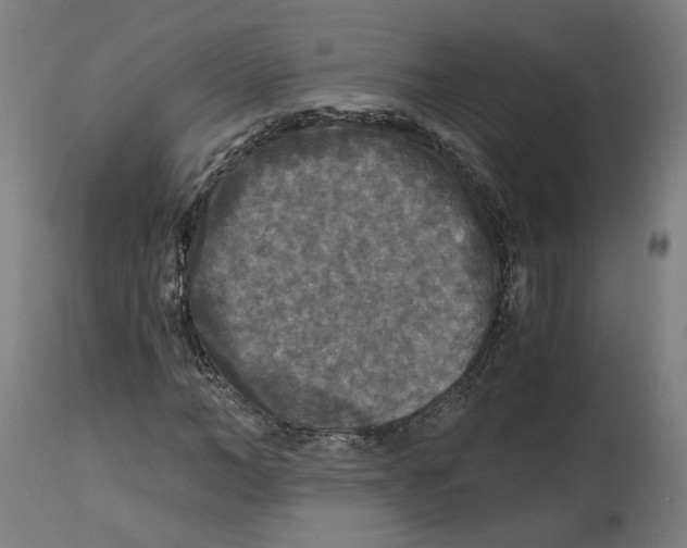 X0000114390966200911131339