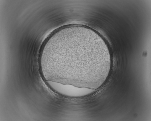 X0000114390972200911131339