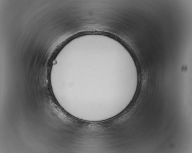 X0000114390974200911131339