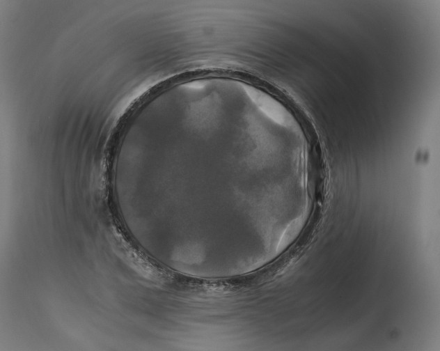 X0000114390975200911131339