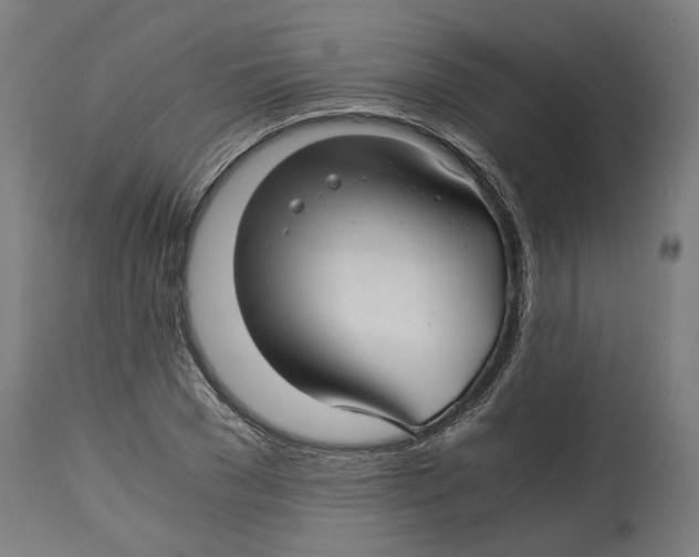 X0000114390977200911131339