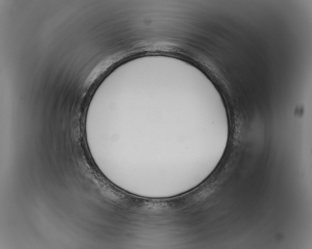 X0000114390978200911131339