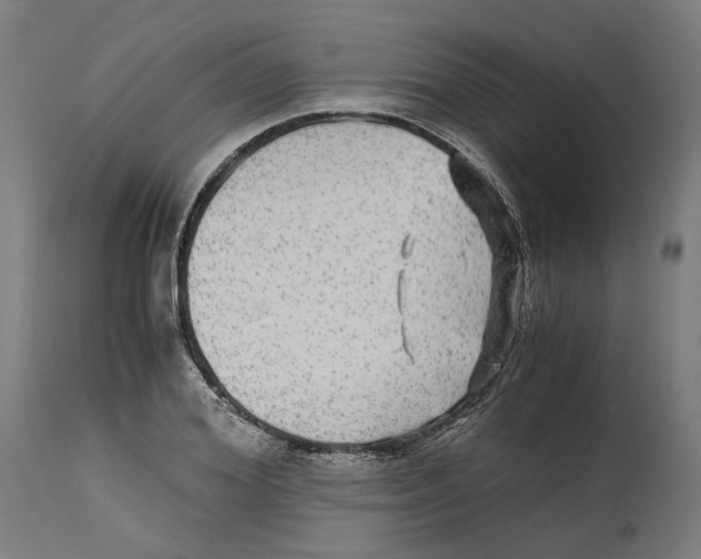 X0000114390980200911131339