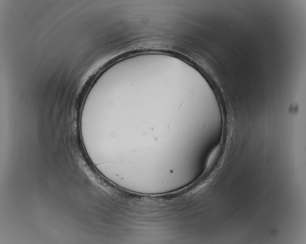 X0000114390981200911131339