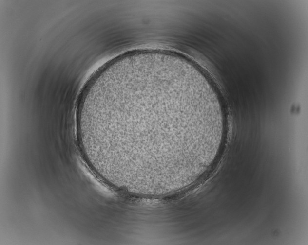 X0000114390982200911131339