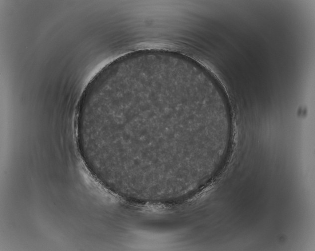 X0000114390983200911131339