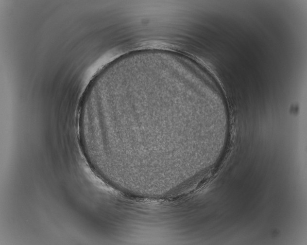 X0000114390987200911131339