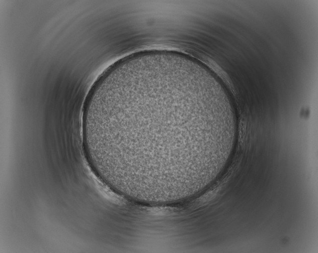 X0000114390988200911131339