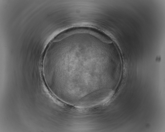 X0000114390989200911131339