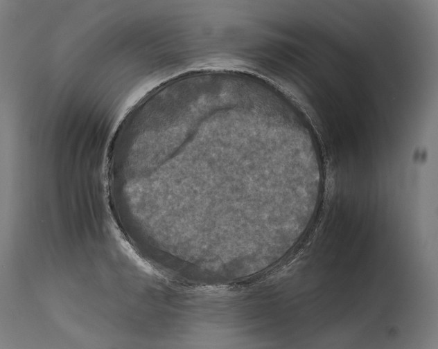 X0000114390990200911131339