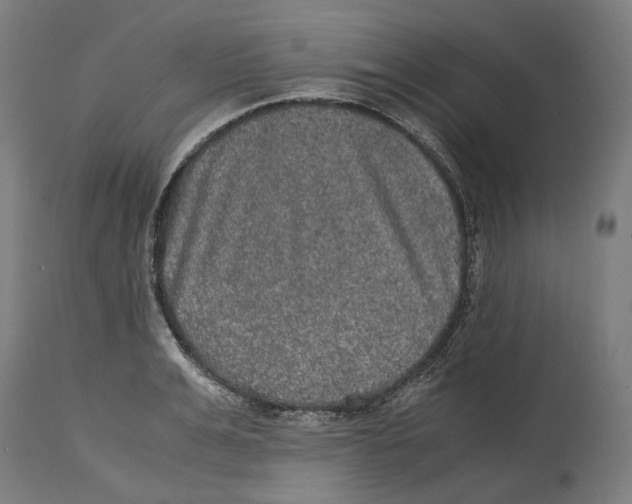 X0000114390991200911131339