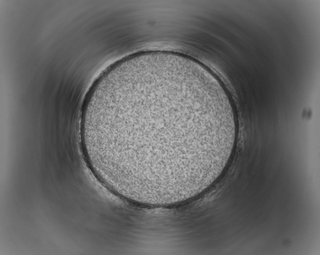 X0000114390992200911131339