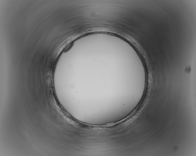 X0000114390993200911131339