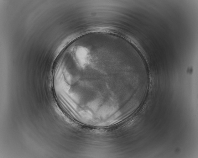 X0000114390994200911131339