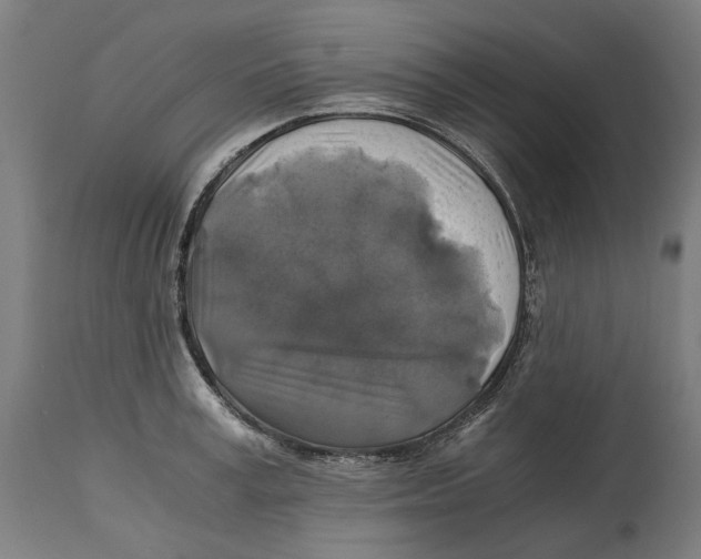 X0000114390995200911131339