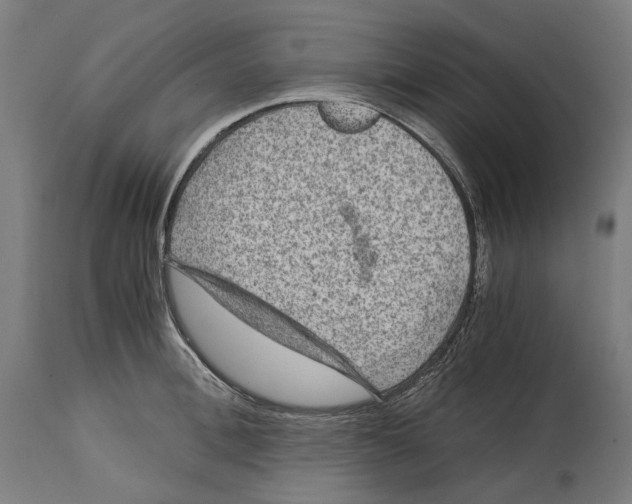 X0000114390996200911131339