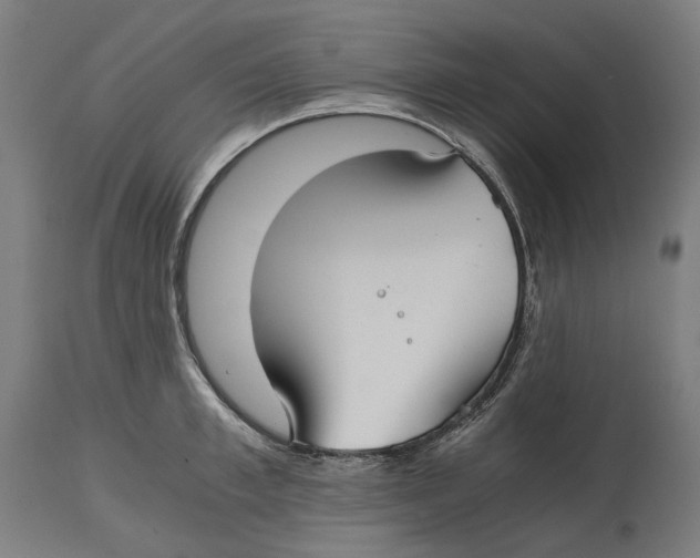 X0000114390997200911131338