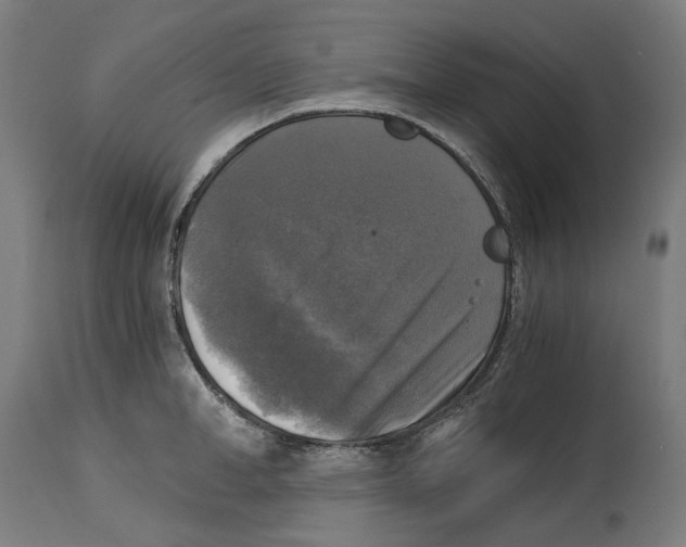 X0000114390998200911131338