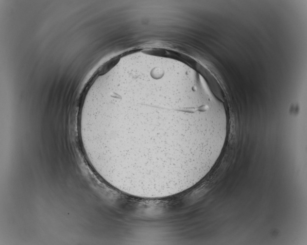 X0000114391000200911131338