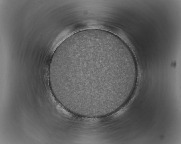 X0000114391001200911131338