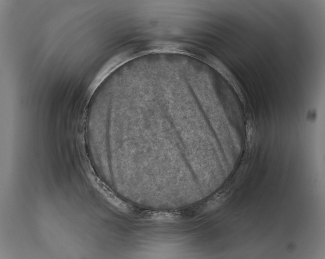 X0000114391002200911131338