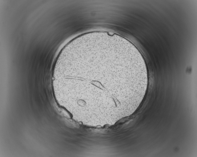 X0000114391004200911131338