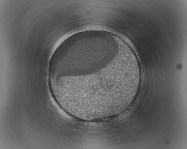 X0000114391005200911131338