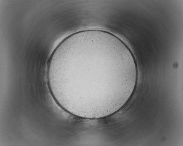 X0000114391006200911131338