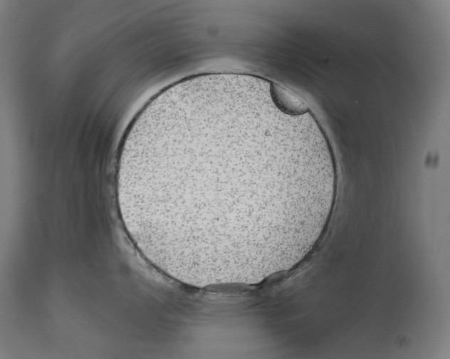 X0000114391008200911131338