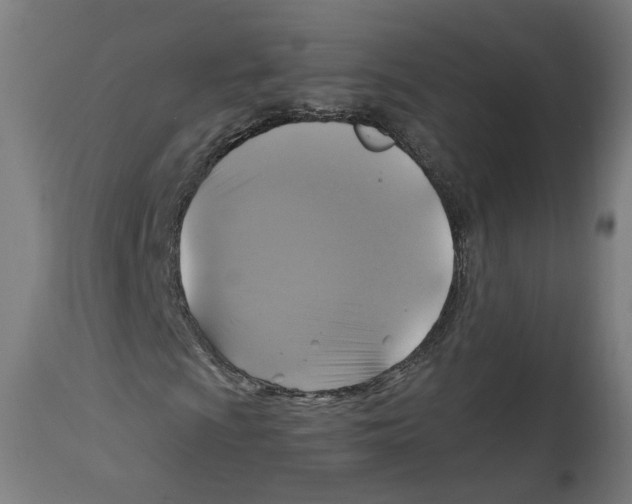 X0000114391009200911131338