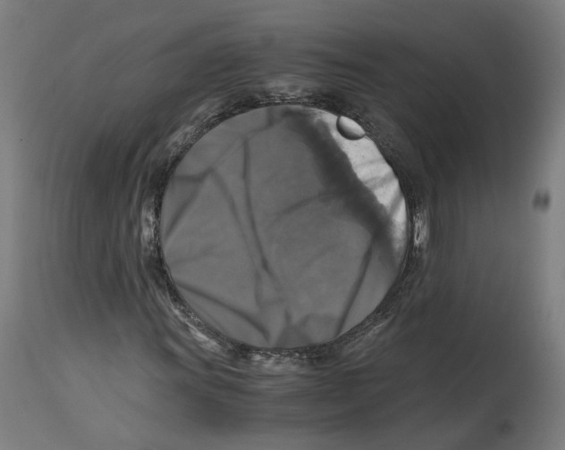 X0000114391011200911131338