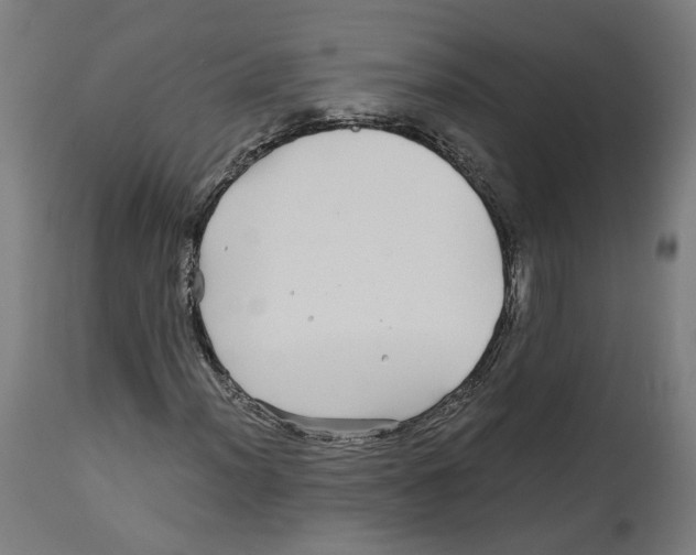 X0000114391012200911131338