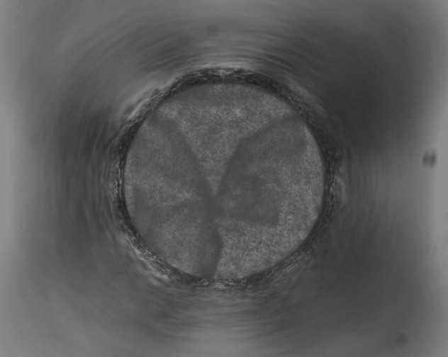 X0000114391014200911131338