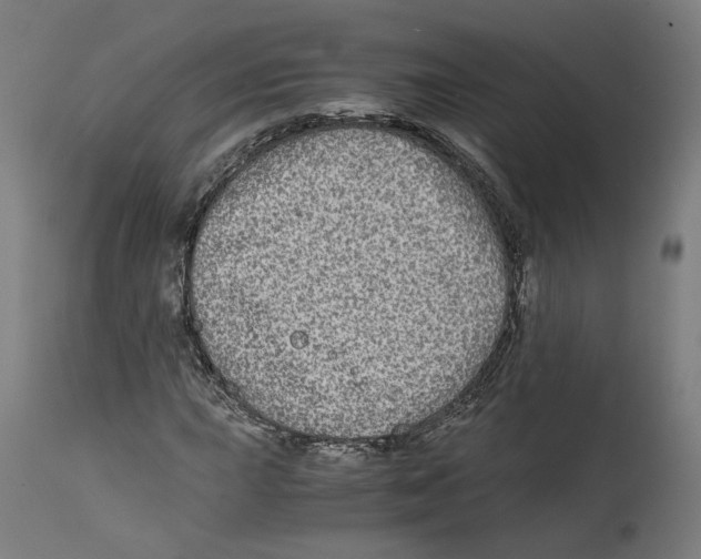 X0000114391015200911131338