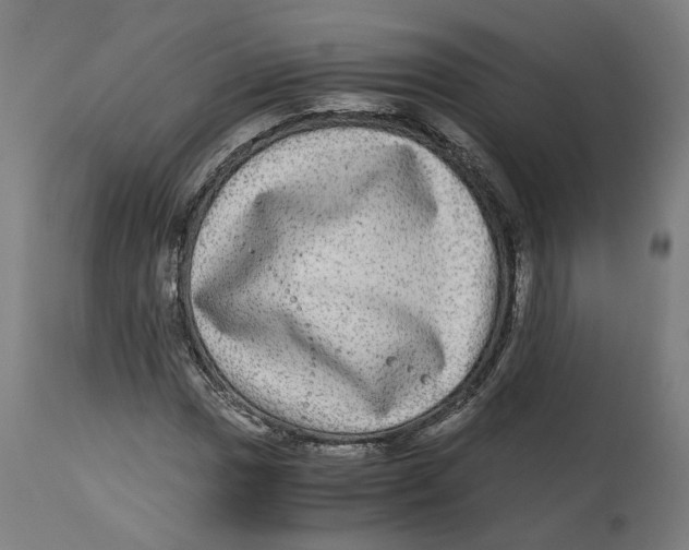 X0000114391017200911131338