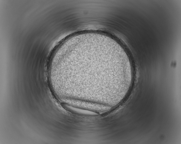 X0000114391018200911131338