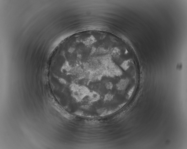 X0000114391019200911131338